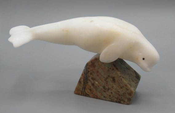 Beluga Whale by Bill Nasogaluak #1204 / 11"L